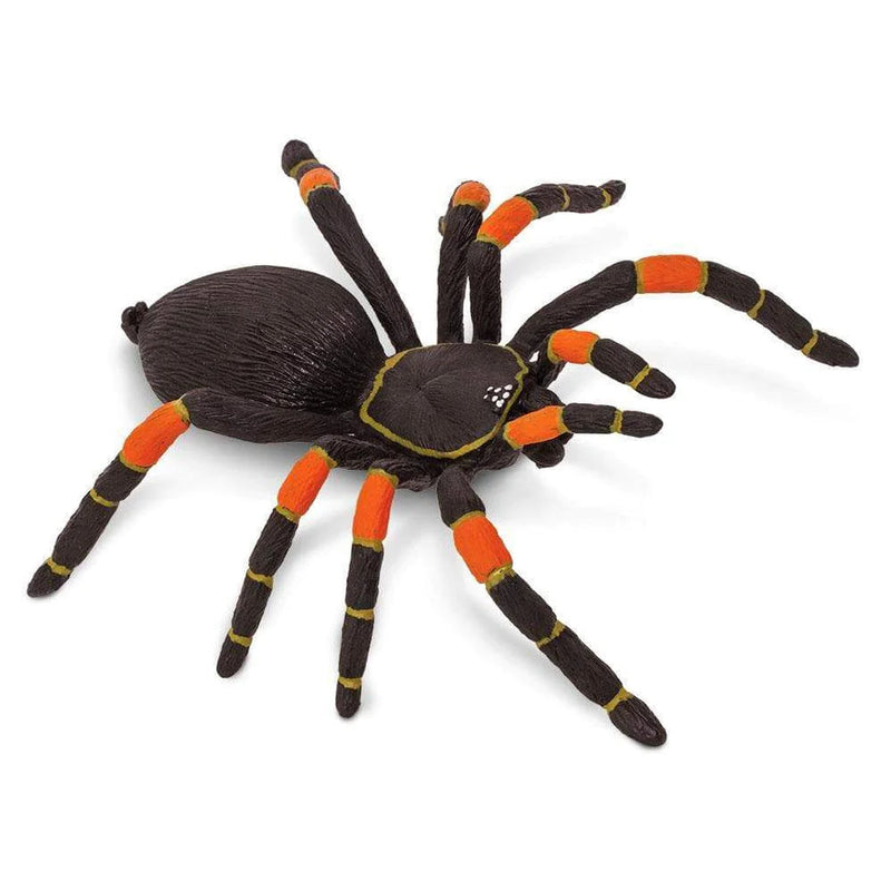 Safari Ltd. Orange-kneed Tarantula Toy-SAFARI LTD-Little Giant Kidz