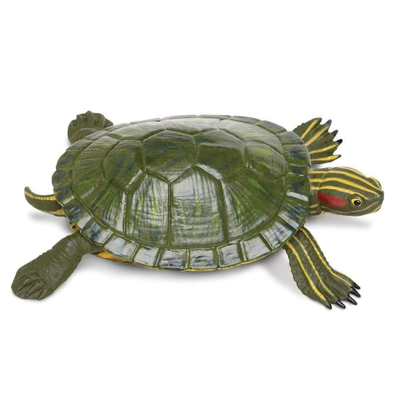 Safari Ltd. Red-Eared Slider Turtle Toy-SAFARI LTD-Little Giant Kidz