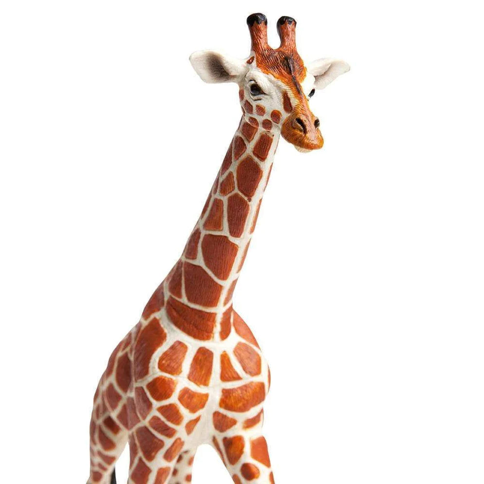 Safari Ltd. Reticulated Giraffe Toy-SAFARI LTD-Little Giant Kidz