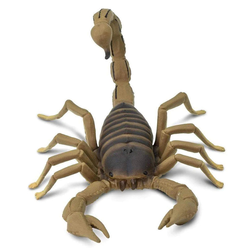 Safari Ltd. Scorpion Toy-SAFARI LTD-Little Giant Kidz