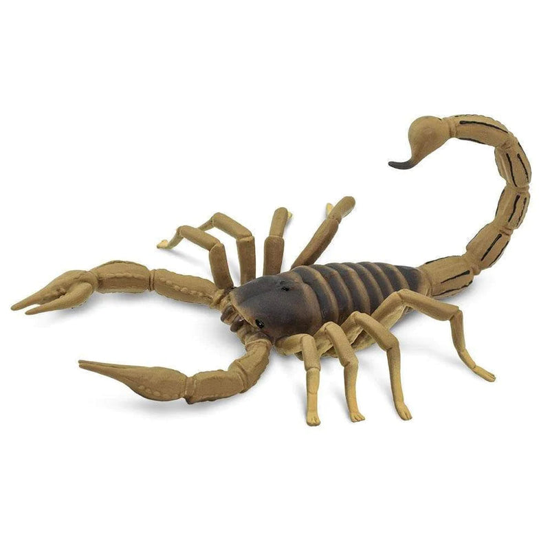 Safari Ltd. Scorpion Toy-SAFARI LTD-Little Giant Kidz