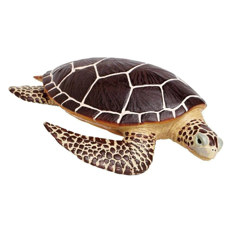 Safari Ltd. Sea Turtle Toy-SAFARI LTD-Little Giant Kidz