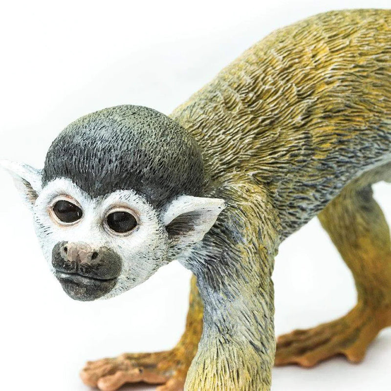 Safari Ltd. Squirrel Monkey Toy-SAFARI LTD-Little Giant Kidz