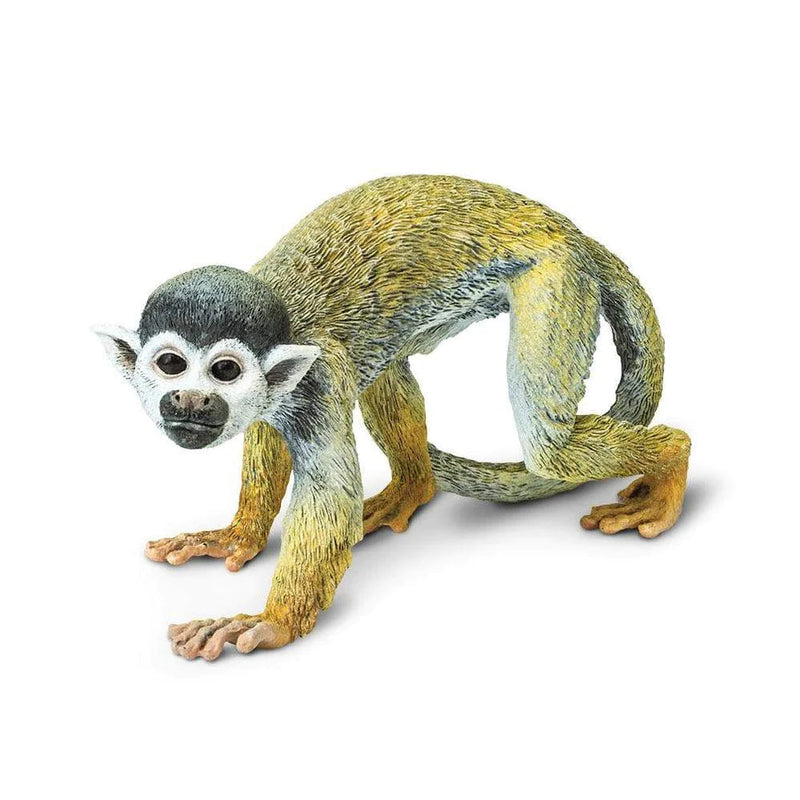 Safari Ltd. Squirrel Monkey Toy-SAFARI LTD-Little Giant Kidz