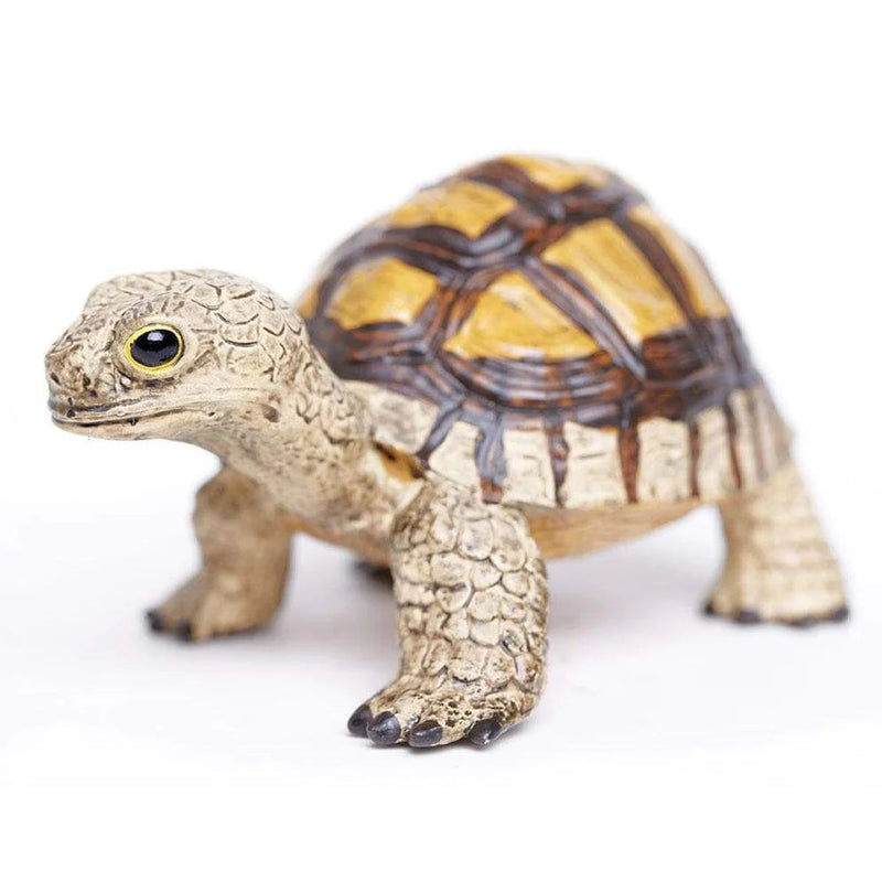 Safari Ltd. Tortoise Toy-SAFARI LTD-Little Giant Kidz
