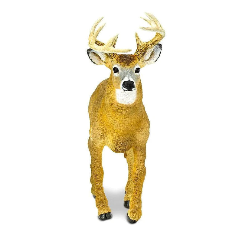 Safari Ltd. Whitetail Buck Toy-SAFARI LTD-Little Giant Kidz