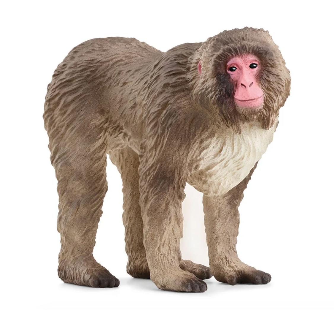 Schleich Japanese Macaque-SCHLEICH-Little Giant Kidz