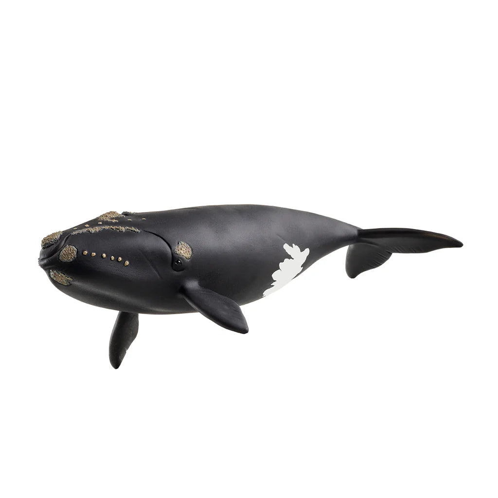 Schleich North Atlantic Right Whale-SCHLEICH-Little Giant Kidz