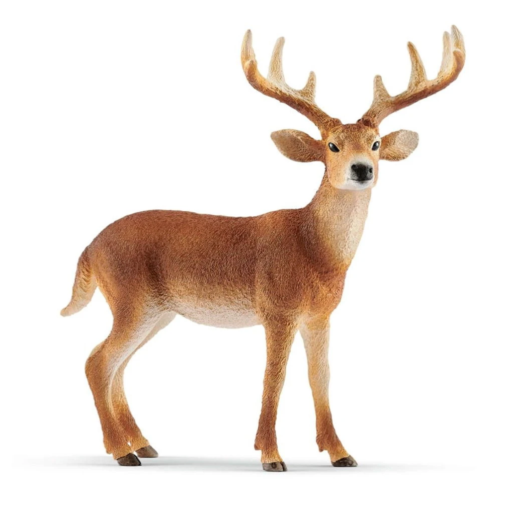 Schleich White-tailed buck-Schleich-Little Giant Kidz