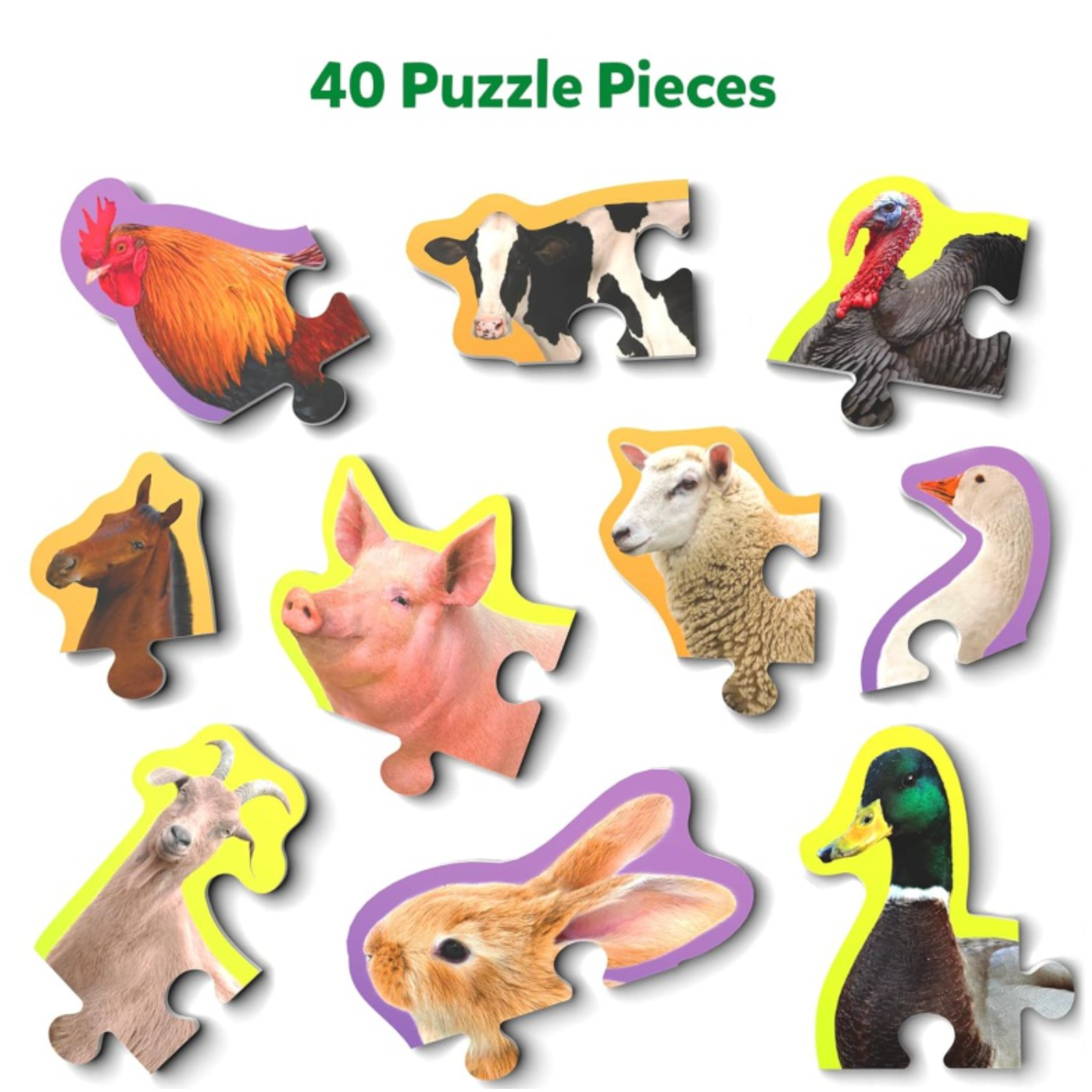 Skillmatics Step by Step Farm Animals-Skillmatics-Little Giant Kidz