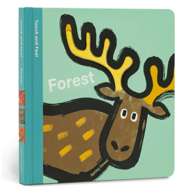 Spring Street Touch and Feel: Forest- Board Book-HACHETTE BOOK GROUP USA-Little Giant Kidz