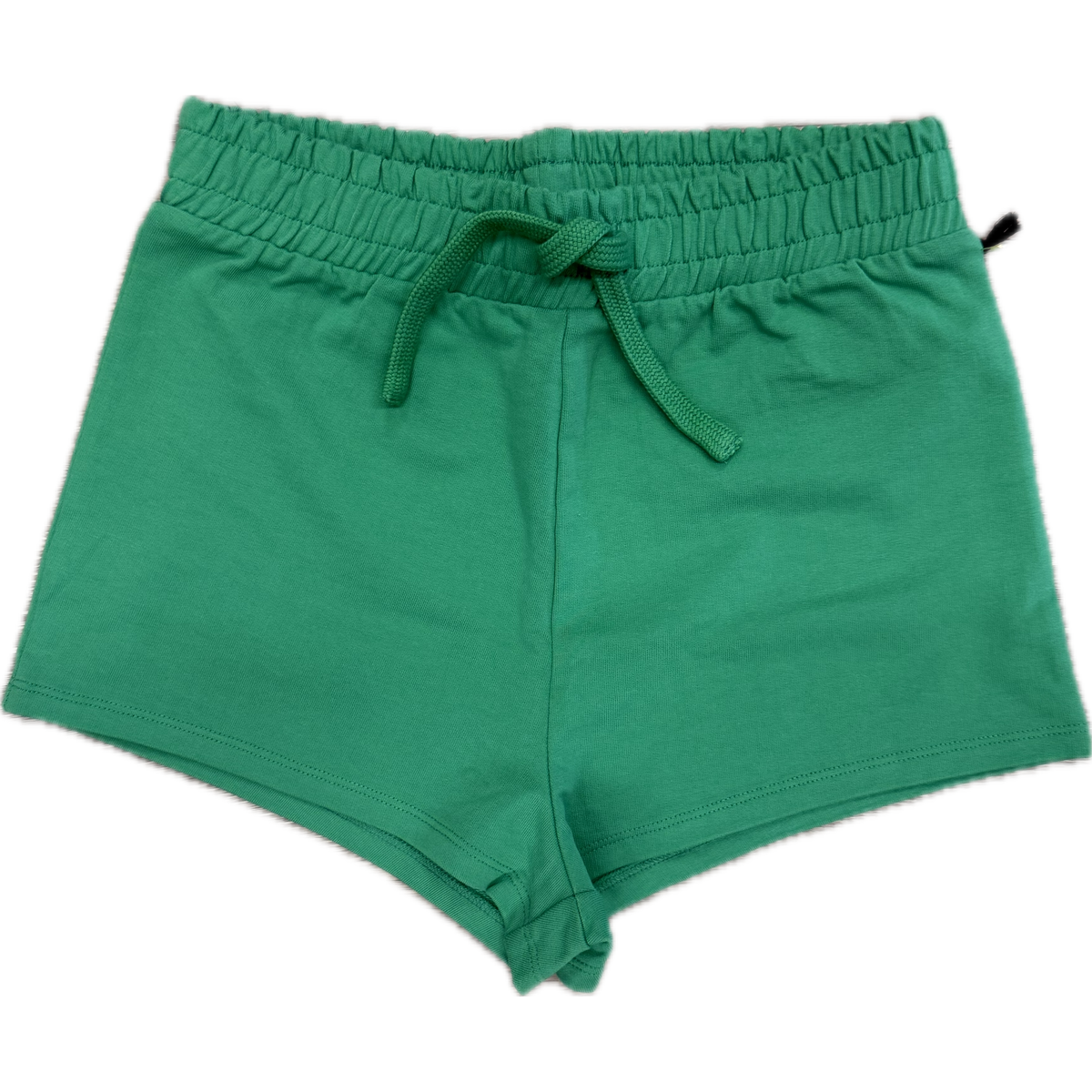 Sweet Soul Basic Kelly Shorts- Kelly Green