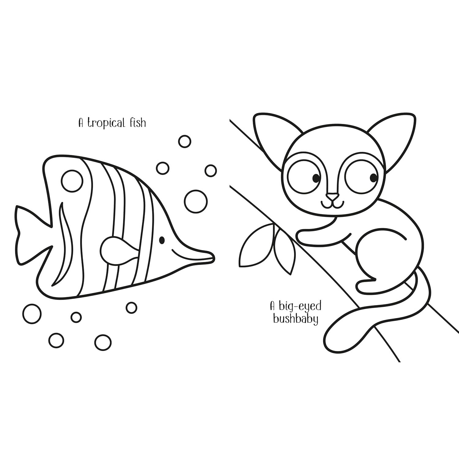 Usborne Books: My Big Animal Coloring Book (Paperback Book)-HARPER COLLINS PUBLISHERS-Little Giant Kidz