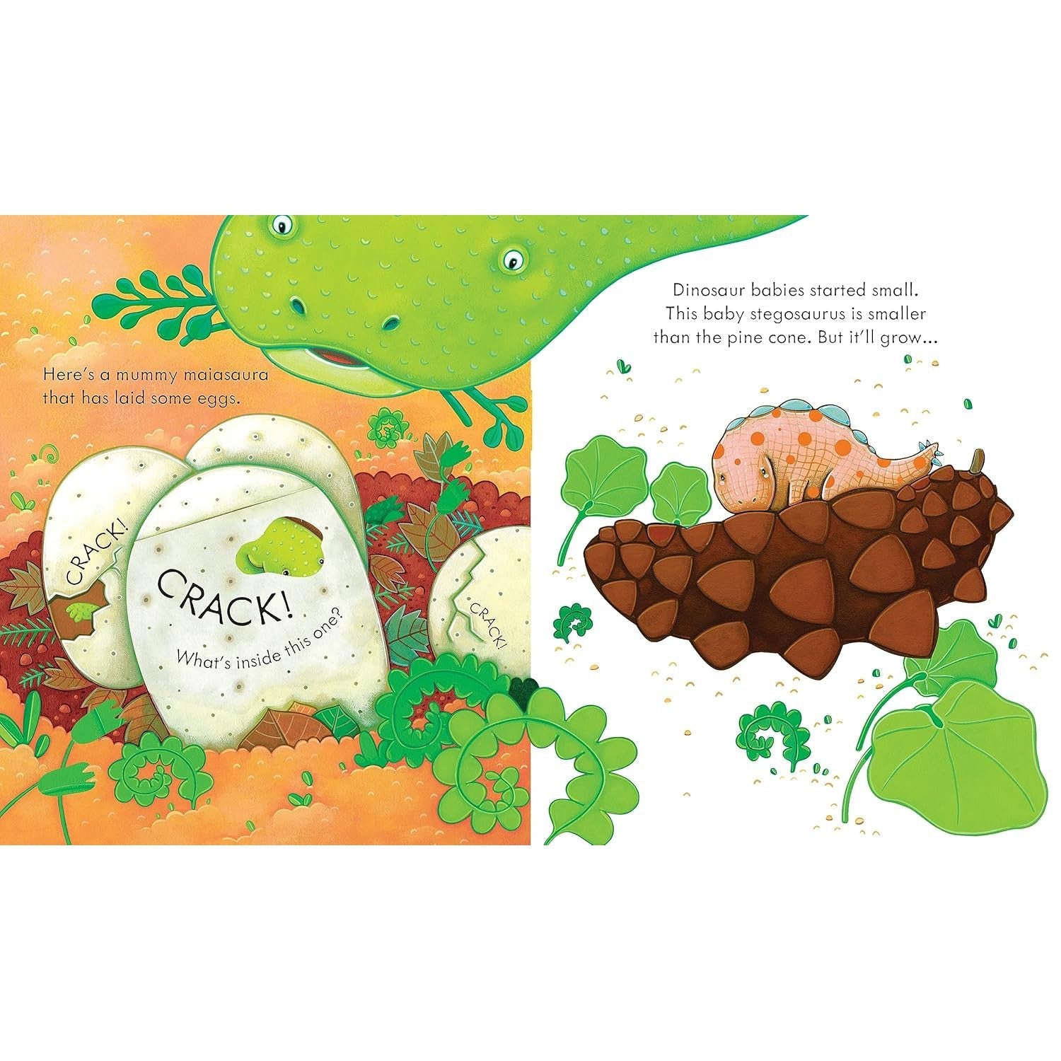 Usborne Books: Peek Inside Dinosaurs (Board Book)-HARPER COLLINS PUBLISHERS-Little Giant Kidz