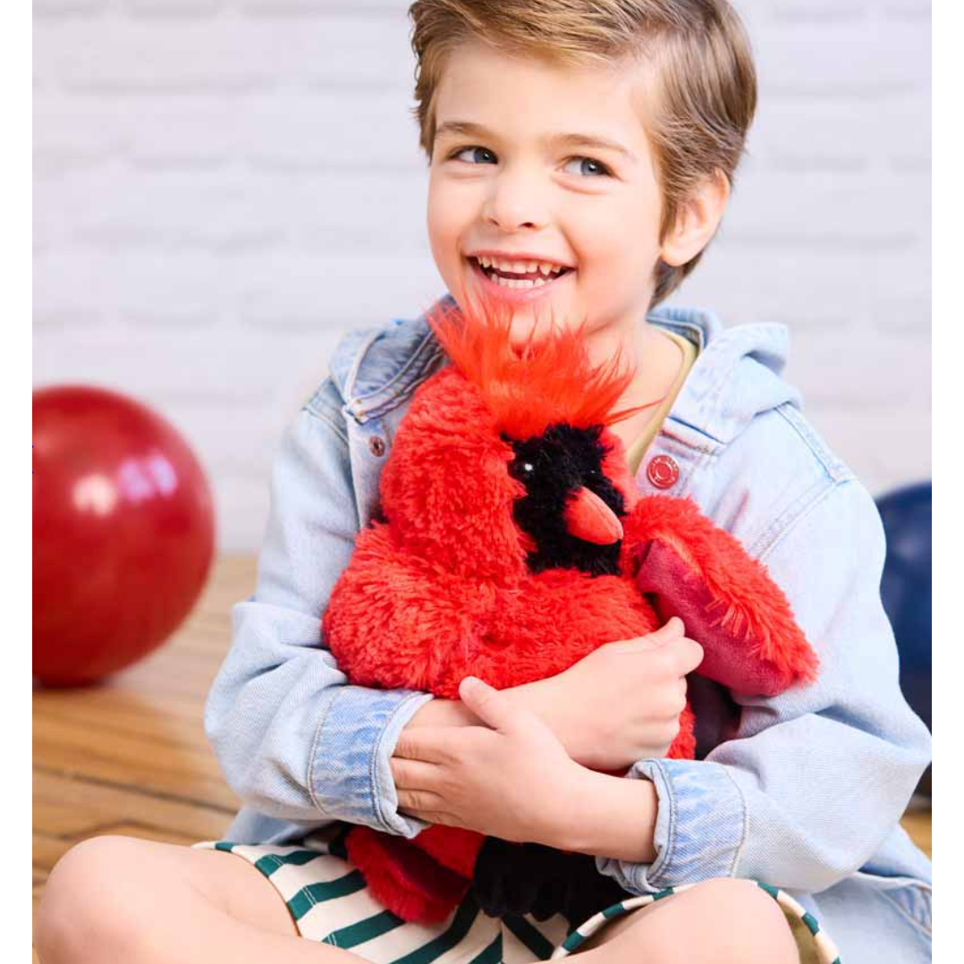 Warmies® Red Cardinal-INTELEX-Little Giant Kidz