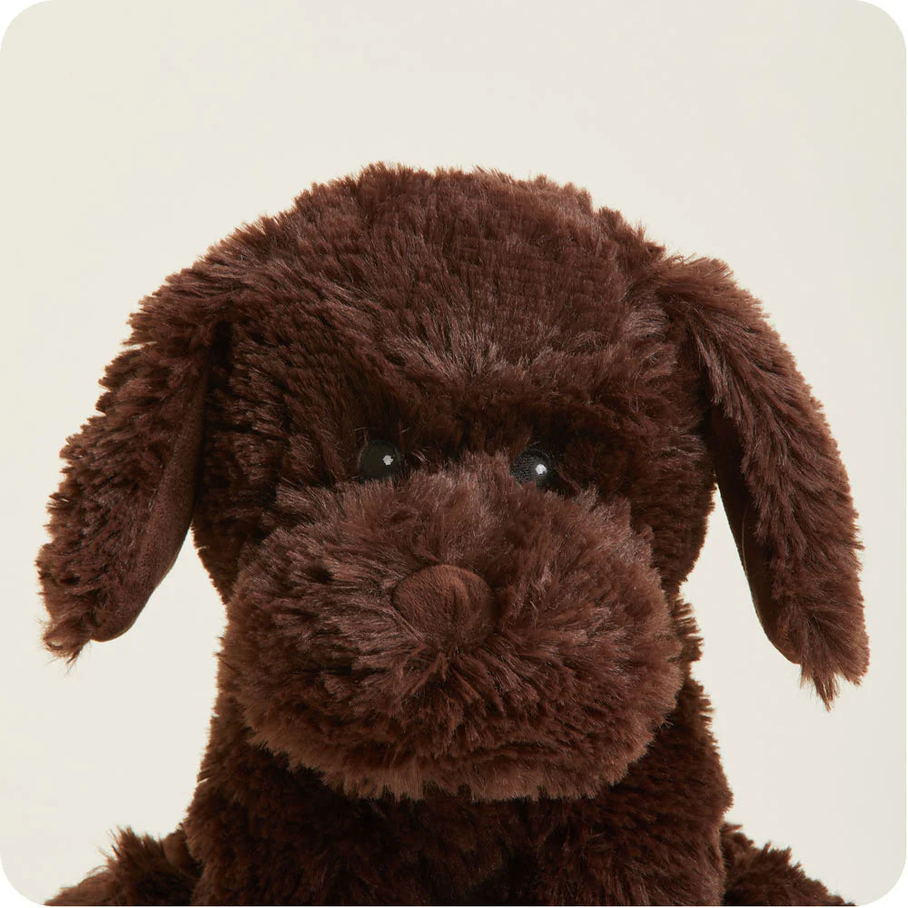 Warmies® Cozy Plush Chocolate Labrador-INTELEX-Little Giant Kidz