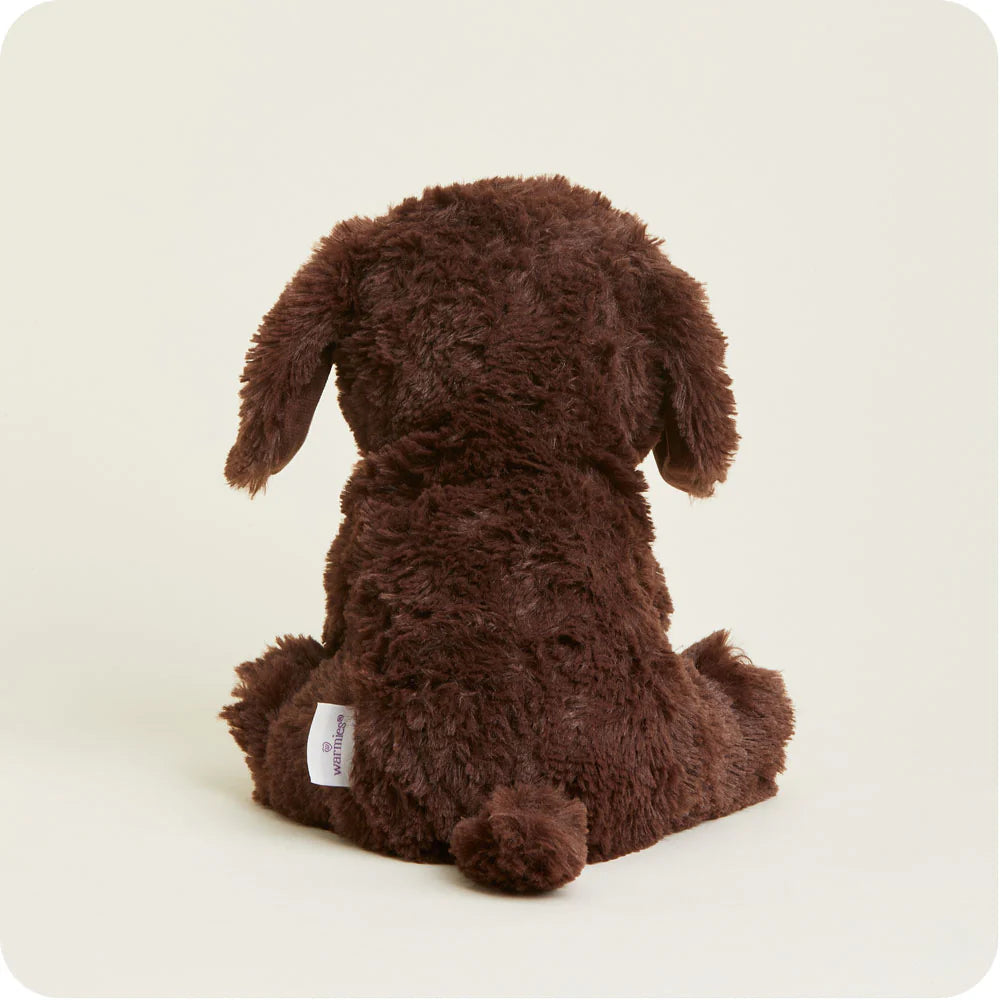 Warmies® Cozy Plush Chocolate Labrador-INTELEX-Little Giant Kidz