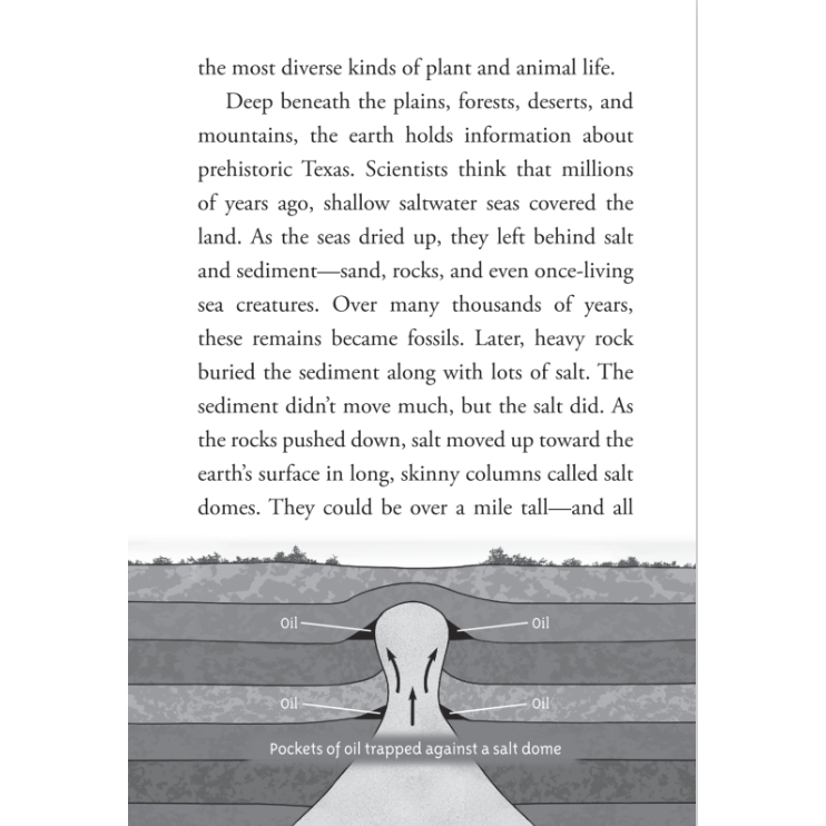 Where Is Texas?-PENGUIN RANDOM HOUSE-Little Giant Kidz
