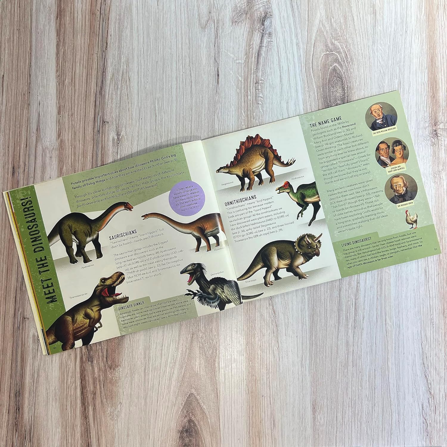 Zonder Kidz: God Made the Dinosaurs: Full of Dinotastic Illustrations and Facts-HARPER COLLINS PUBLISHERS-Little Giant Kidz