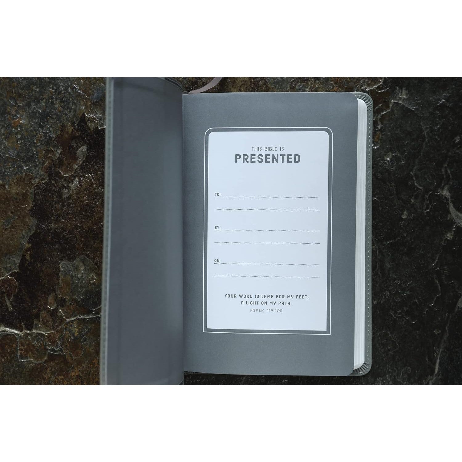 Zonder Kidz: NIV Bible for Kids - Thinline Edition - Gray-HARPER COLLINS PUBLISHERS-Little Giant Kidz