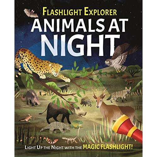 Baker & Taylor: Flashlight Explorers: Animals at Night: 5 Wild Scenes to Discover with the Press-Out Flashlight (Hardcover Book)-Baker & Taylor Publisher Services-Little Giant Kidz