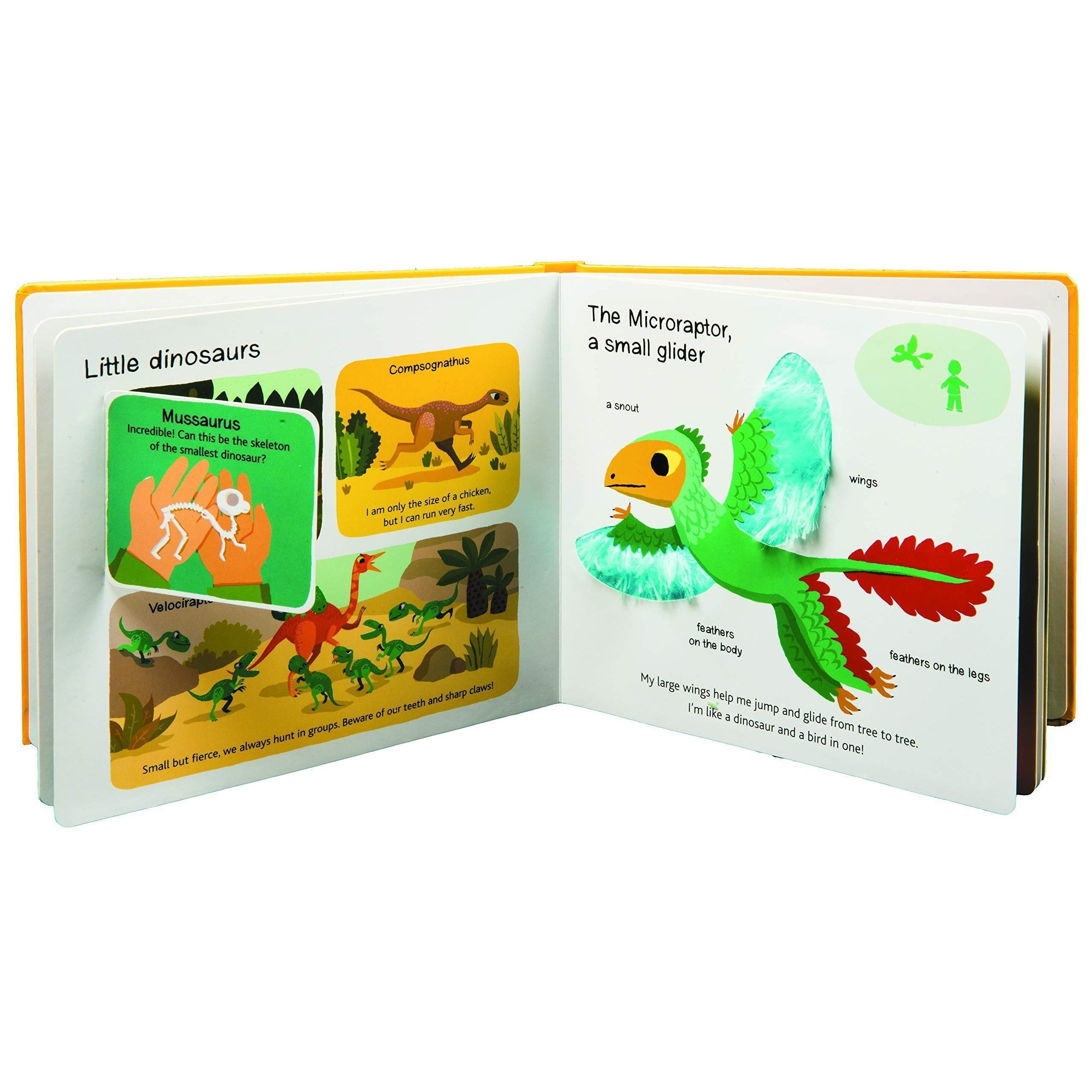 Chronicle Books: Touch and Explore: Dinosaurs (Board Book)-CHRONICLE BOOKS-Little Giant Kidz