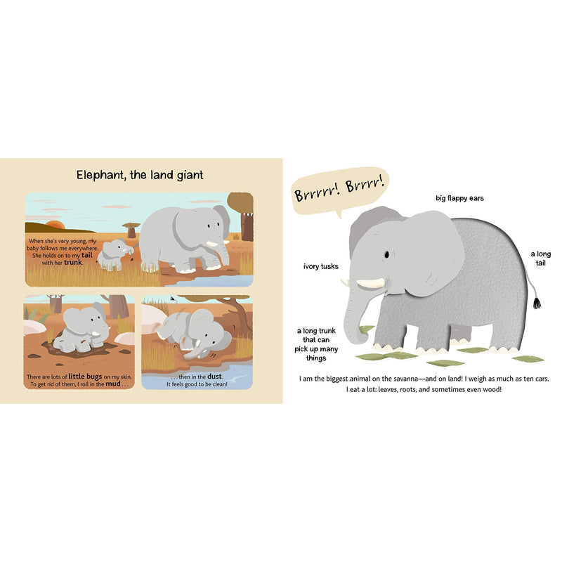 Chronicle Books: Touch and Explore: Safari (Board Book)-CHRONICLE BOOKS-Little Giant Kidz