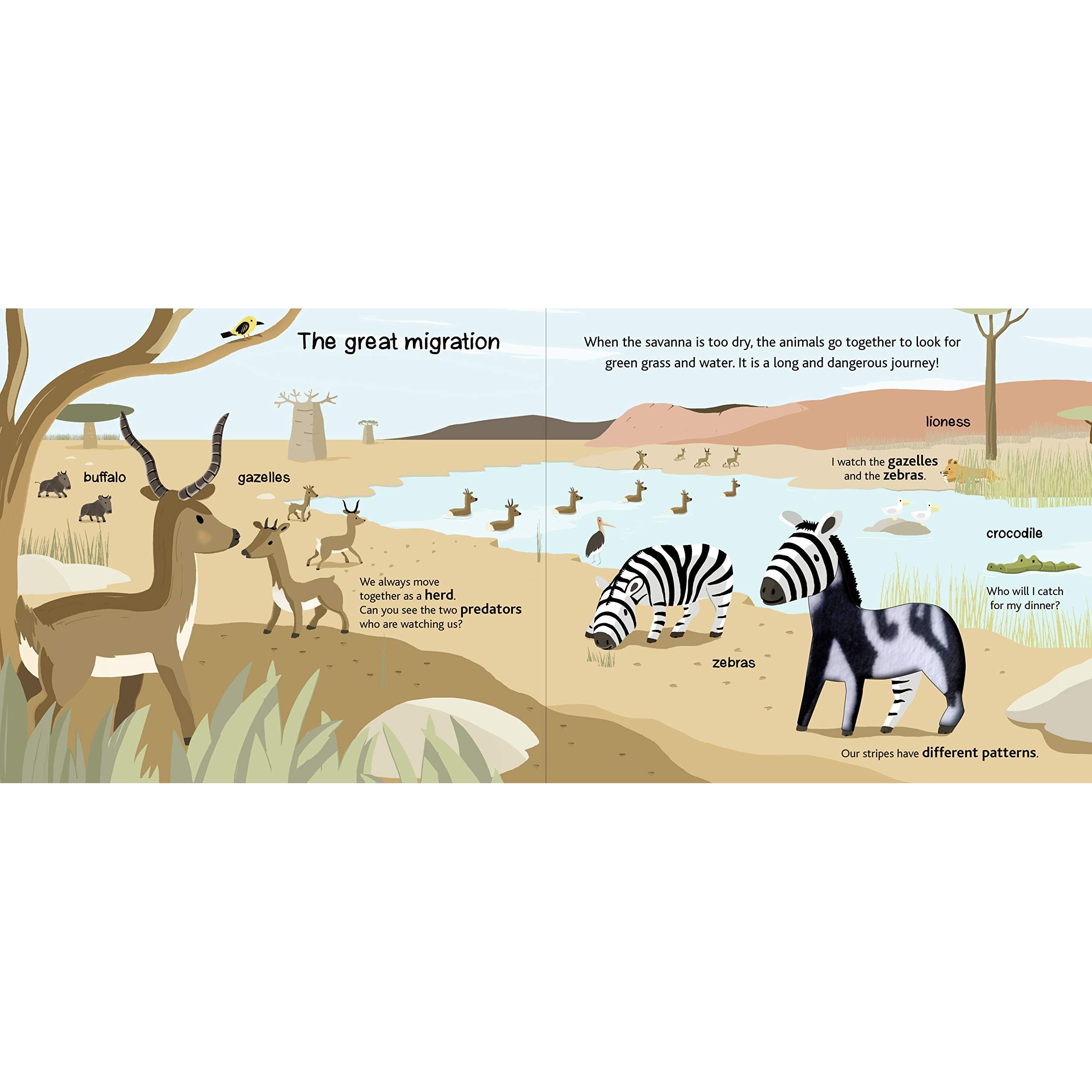 Chronicle Books: Touch and Explore: Safari (Board Book)-CHRONICLE BOOKS-Little Giant Kidz