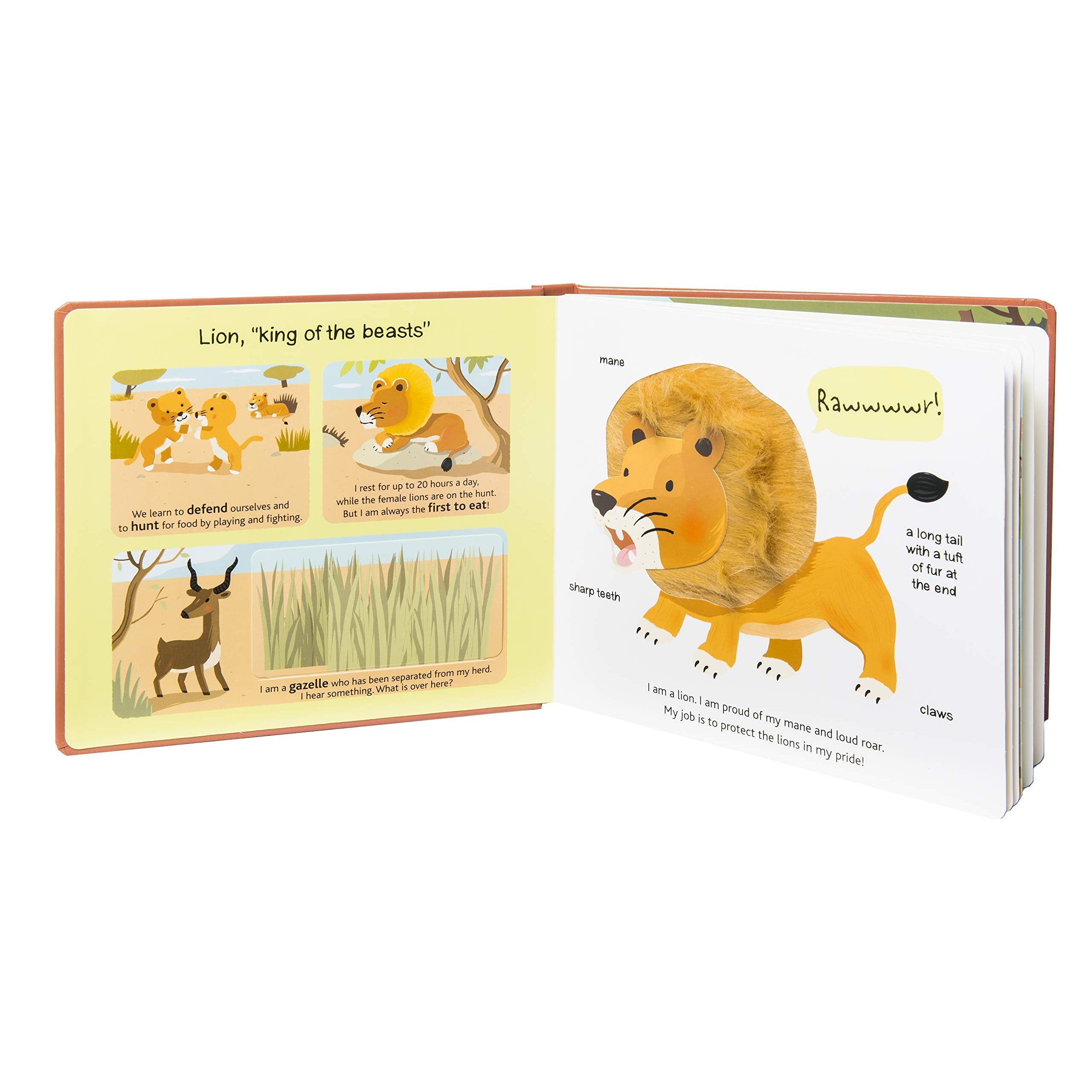 Chronicle Books: Touch and Explore: Safari (Board Book)-CHRONICLE BOOKS-Little Giant Kidz