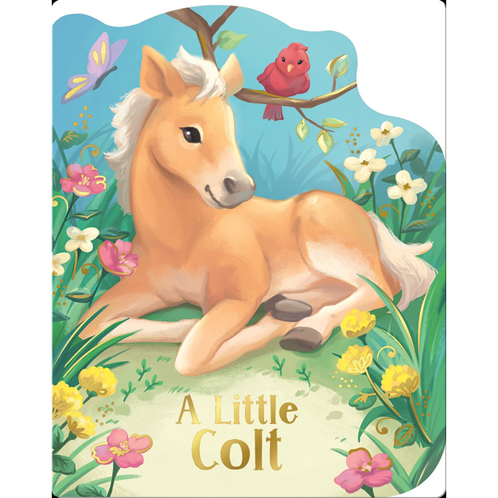 Cottage Door Press: A Little Colt (Board Book)-COTTAGE DOOR PRESS-Little Giant Kidz