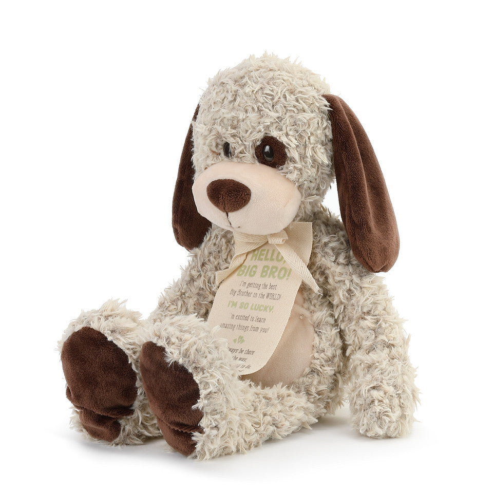Demdaco Gift from the New Kid: Big Brother Plush Puppy-DEMDACO-Little Giant Kidz