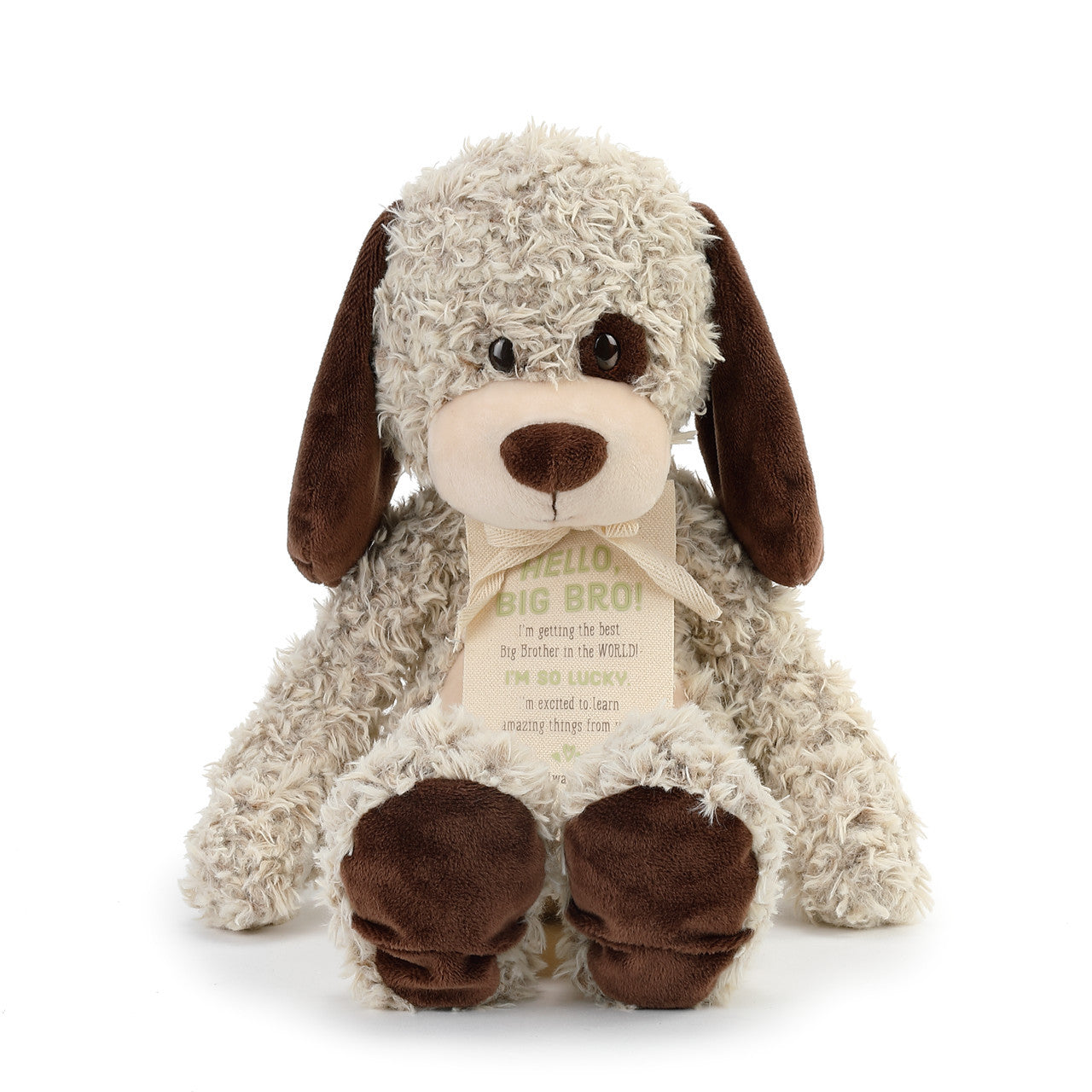 Demdaco Gift from the New Kid: Big Brother Plush Puppy-DEMDACO-Little Giant Kidz
