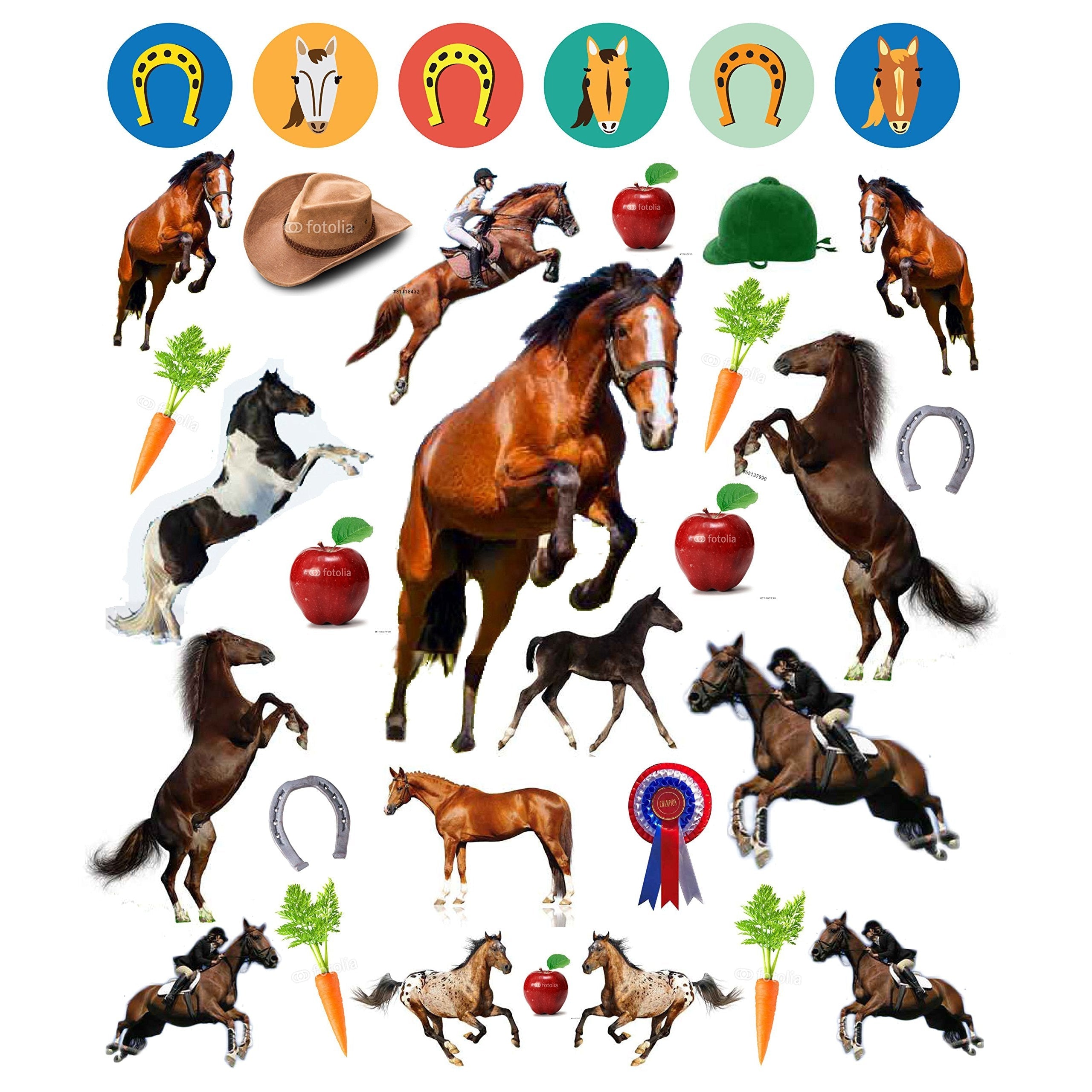 Eyelike Stickers: Horses (Paperback Book)-HACHETTE BOOK GROUP USA-Little Giant Kidz
