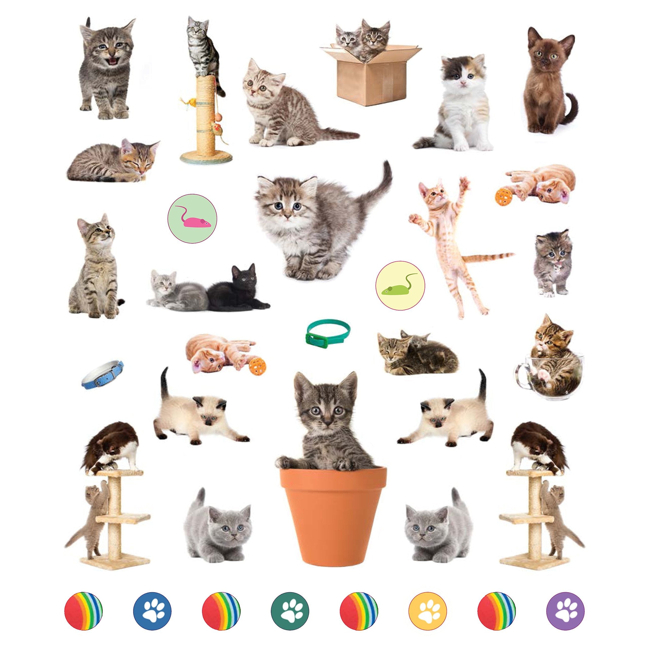 Eyelike Stickers: Kittens- Paperback Book-HACHETTE BOOK GROUP USA-Little Giant Kidz