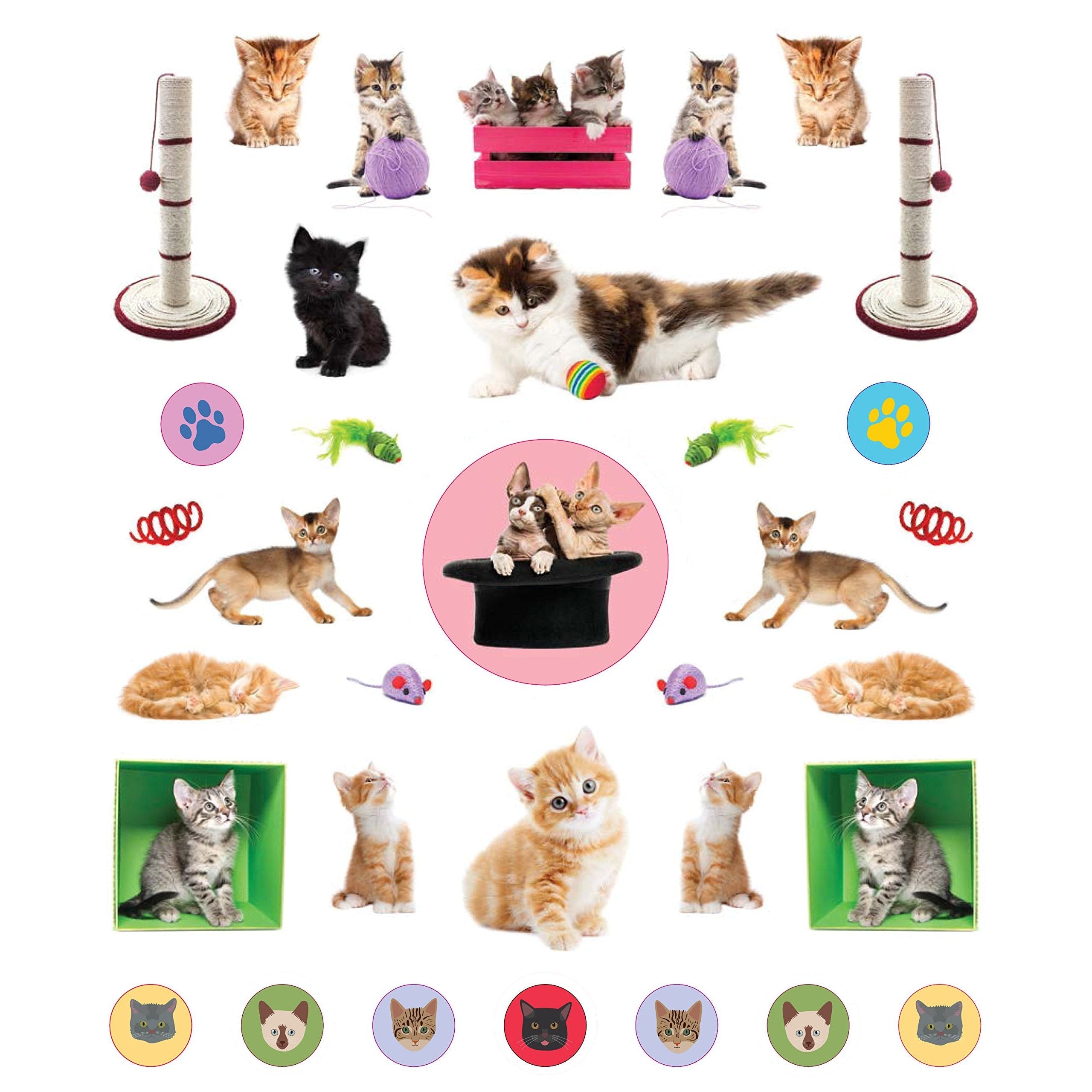 Eyelike Stickers: Kittens- Paperback Book-HACHETTE BOOK GROUP USA-Little Giant Kidz