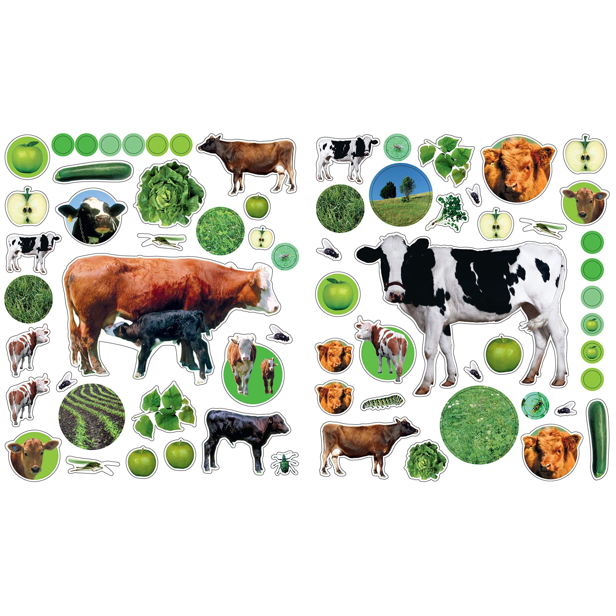Eyelike Stickers: On the Farm (Paperback Book)-HACHETTE BOOK GROUP USA-Little Giant Kidz