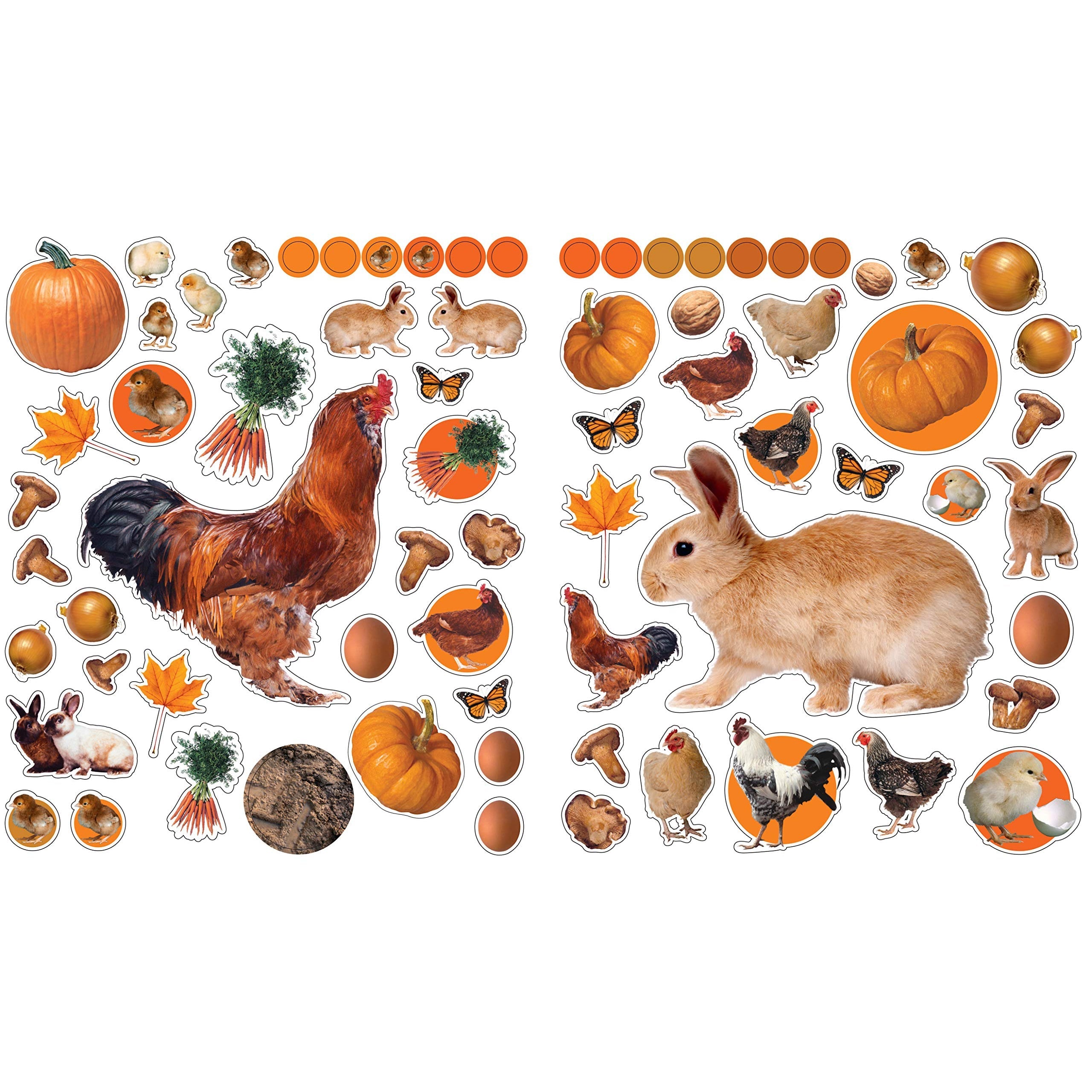 Eyelike Stickers: On the Farm (Paperback Book)-HACHETTE BOOK GROUP USA-Little Giant Kidz