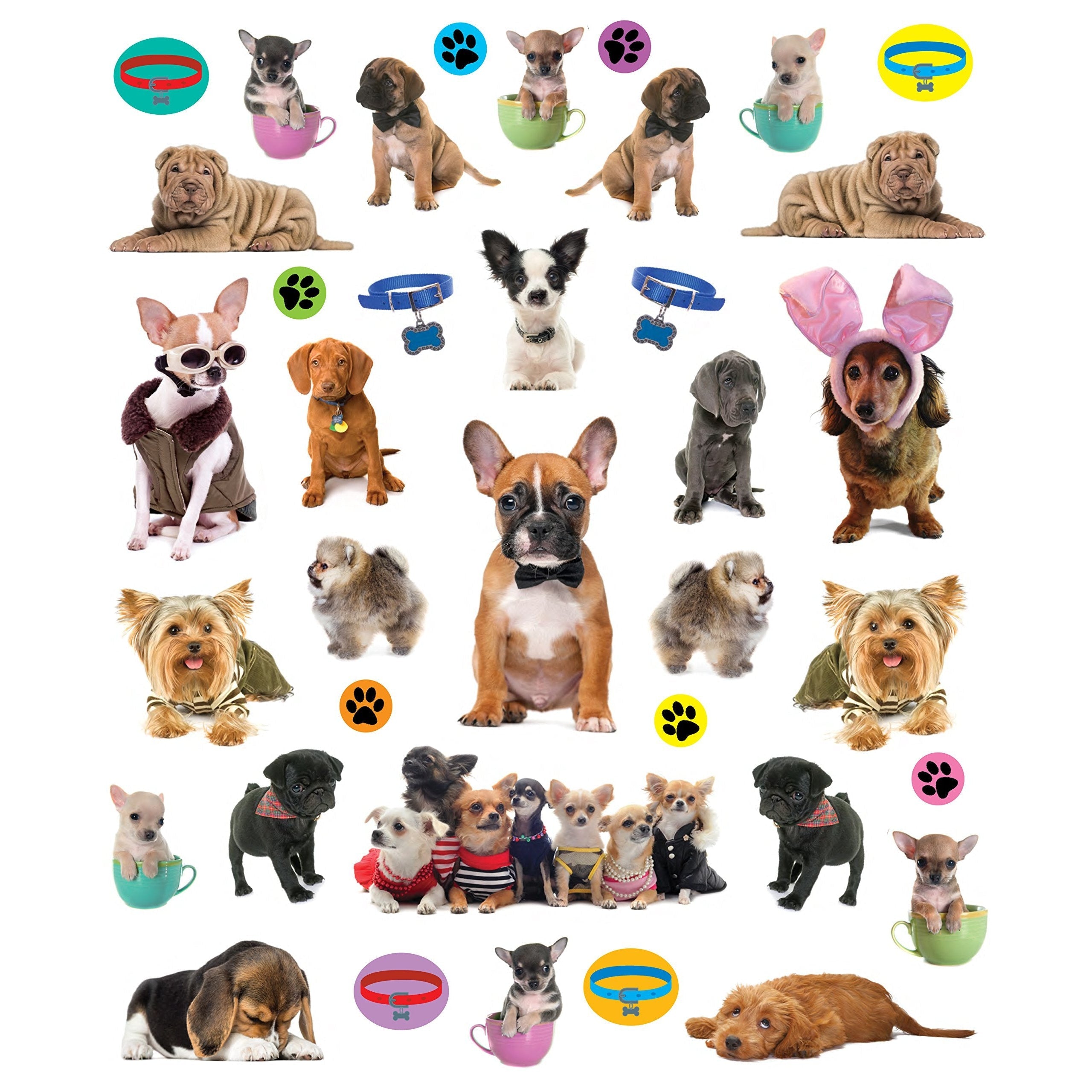 Eyelike Stickers: Puppies (Paperback Book)-HACHETTE BOOK GROUP USA-Little Giant Kidz