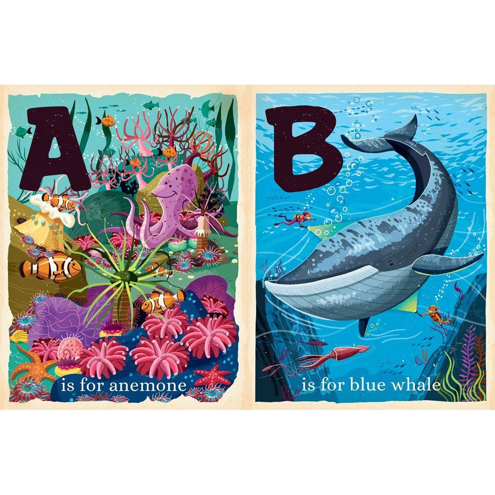 Gibbs Smith O is for Ocean (Board Book)-GIBBS SMITH-Little Giant Kidz
