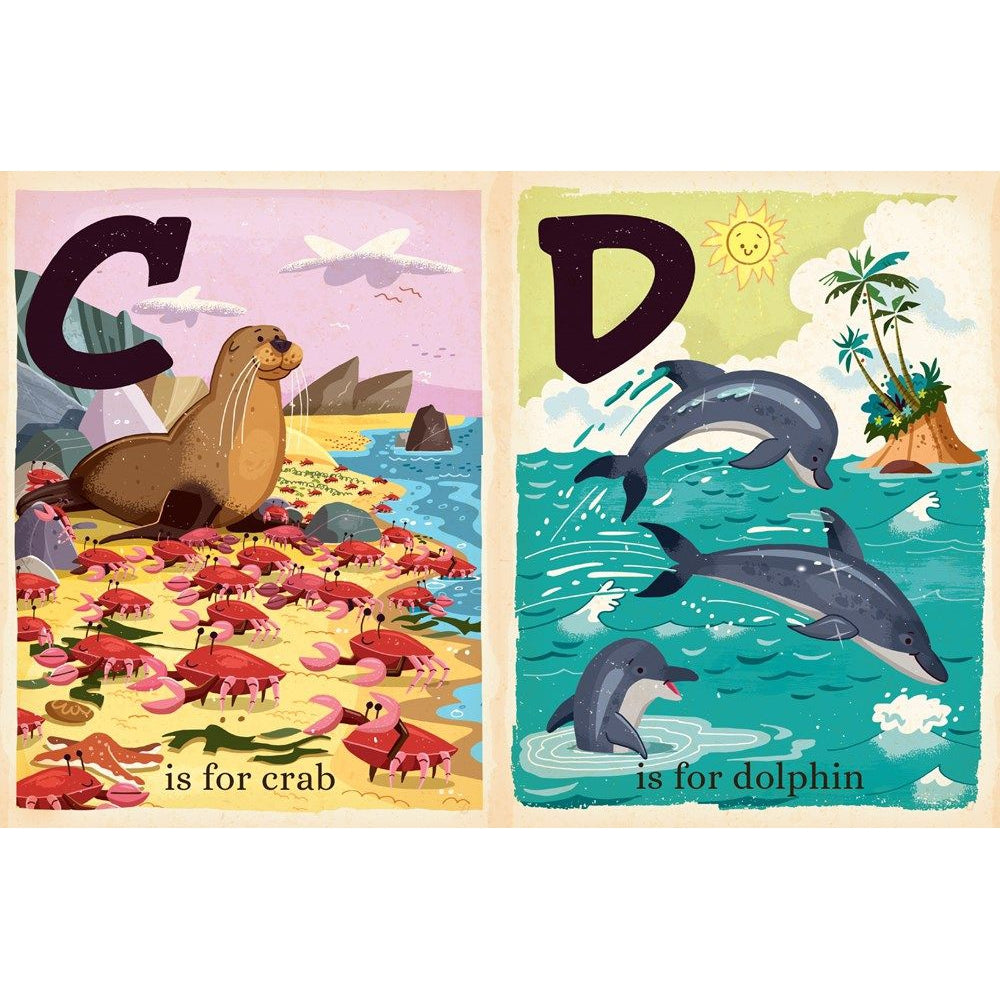 Gibbs Smith O is for Ocean (Board Book)-GIBBS SMITH-Little Giant Kidz