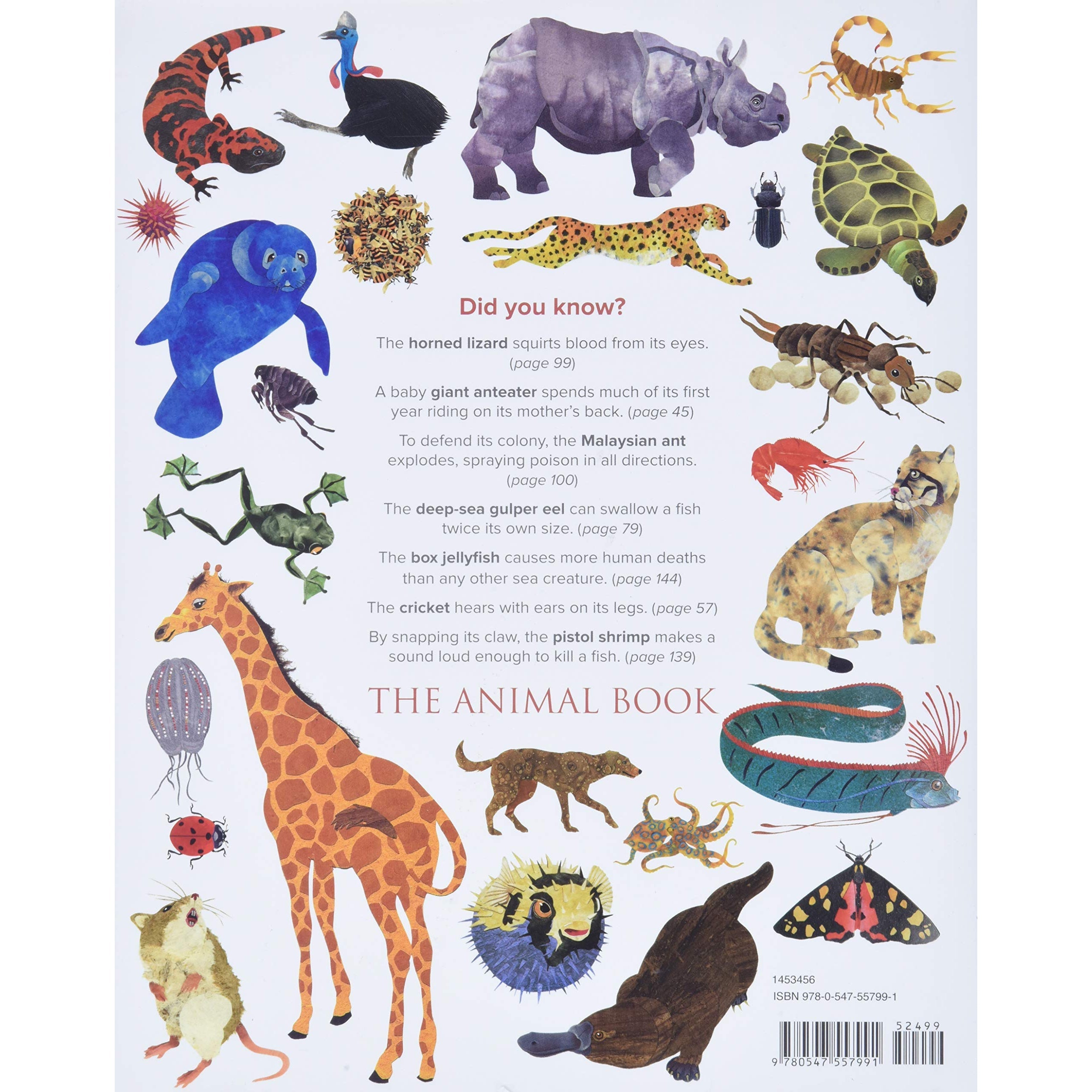 Harper Collins: The Animal Book: A Collection of the Fastest, Fiercest, Toughest, Cleverest, Shyest―and Most Surprising―Animals on Earth (Hardcover Book)-HARPER COLLINS PUBLISHERS-Little Giant Kidz