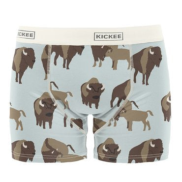 Kickee Pants Print Men's Boxer Brief - Fresh Air Bison-Kickee Pants-Little Giant Kidz