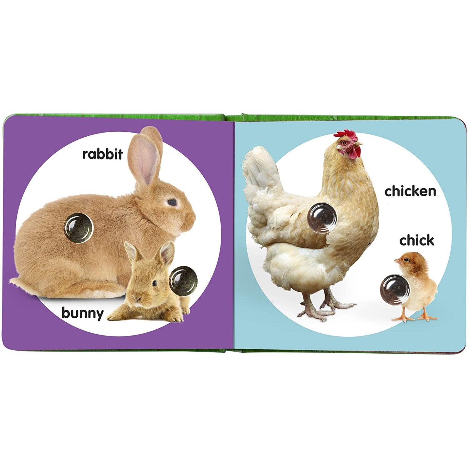 Poke-A-Dot Animal Families - Set of 3 Books by Melissa & Doug