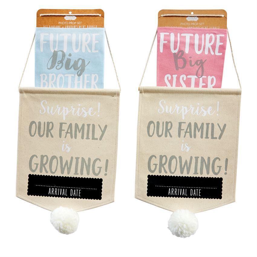 Mud Pie Pet Photo Prop Set "Our Family is Growing" Announcement - Blue-MUD PIE-Little Giant Kidz