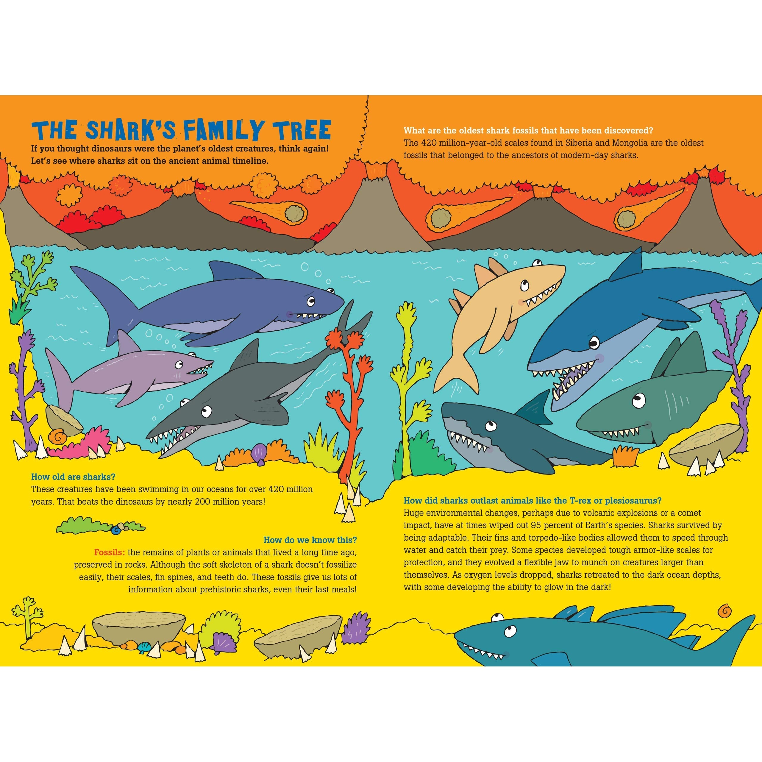 Peter Pauper Press: 100 Questions About Sharks (Hardcover Book)-Peter Pauper Press-Little Giant Kidz