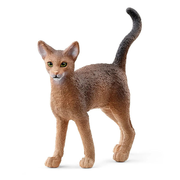 Schleich Abyssinian Cat-SCHLEICH-Little Giant Kidz