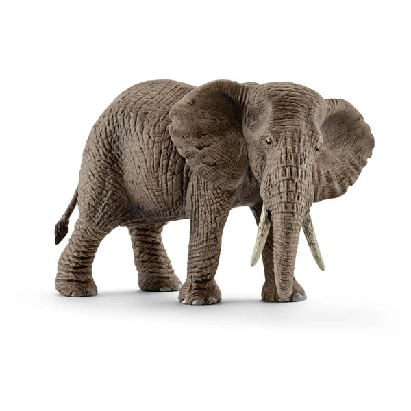 Schleich African Elephant - Female-SCHLEICH-Little Giant Kidz