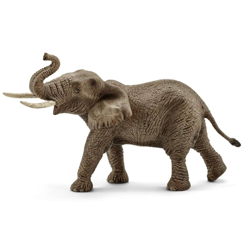 Schleich African Elephant - Male-SCHLEICH-Little Giant Kidz