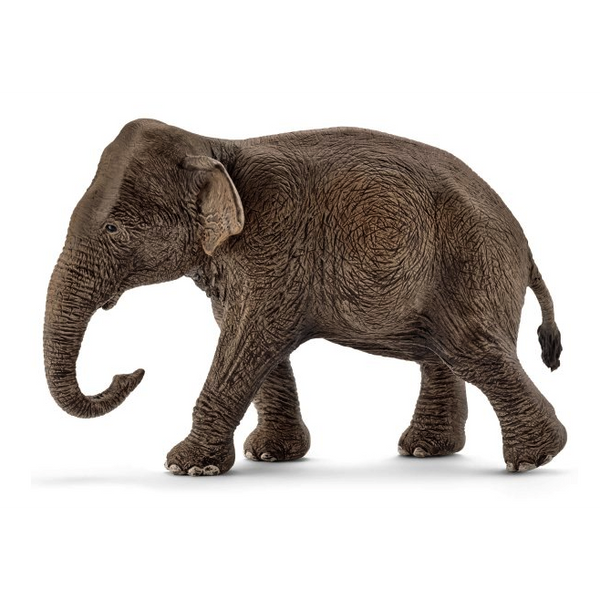 Schleich Asian Elephant - Female-SCHLEICH-Little Giant Kidz