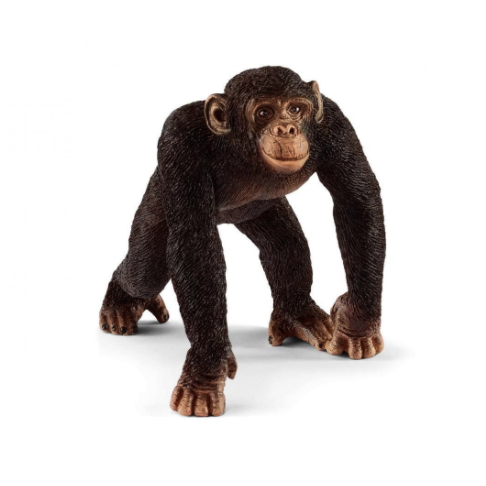 Schleich Chimpanzee - Male-SCHLEICH-Little Giant Kidz